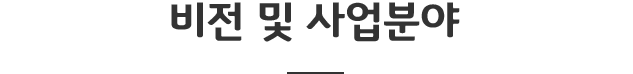 비전 및 사업분야